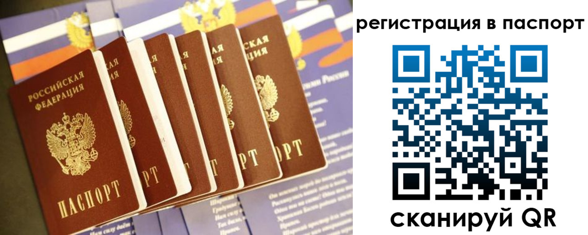 прописка ребенка в Богородске